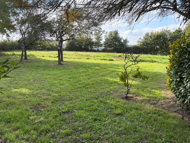 Proche de Decize et de Moulins, très bel ensemble immobilier comprenant trois habitations, garages et annexes, implanté sur un terrain arboré de 6 589 m2. — photo 11