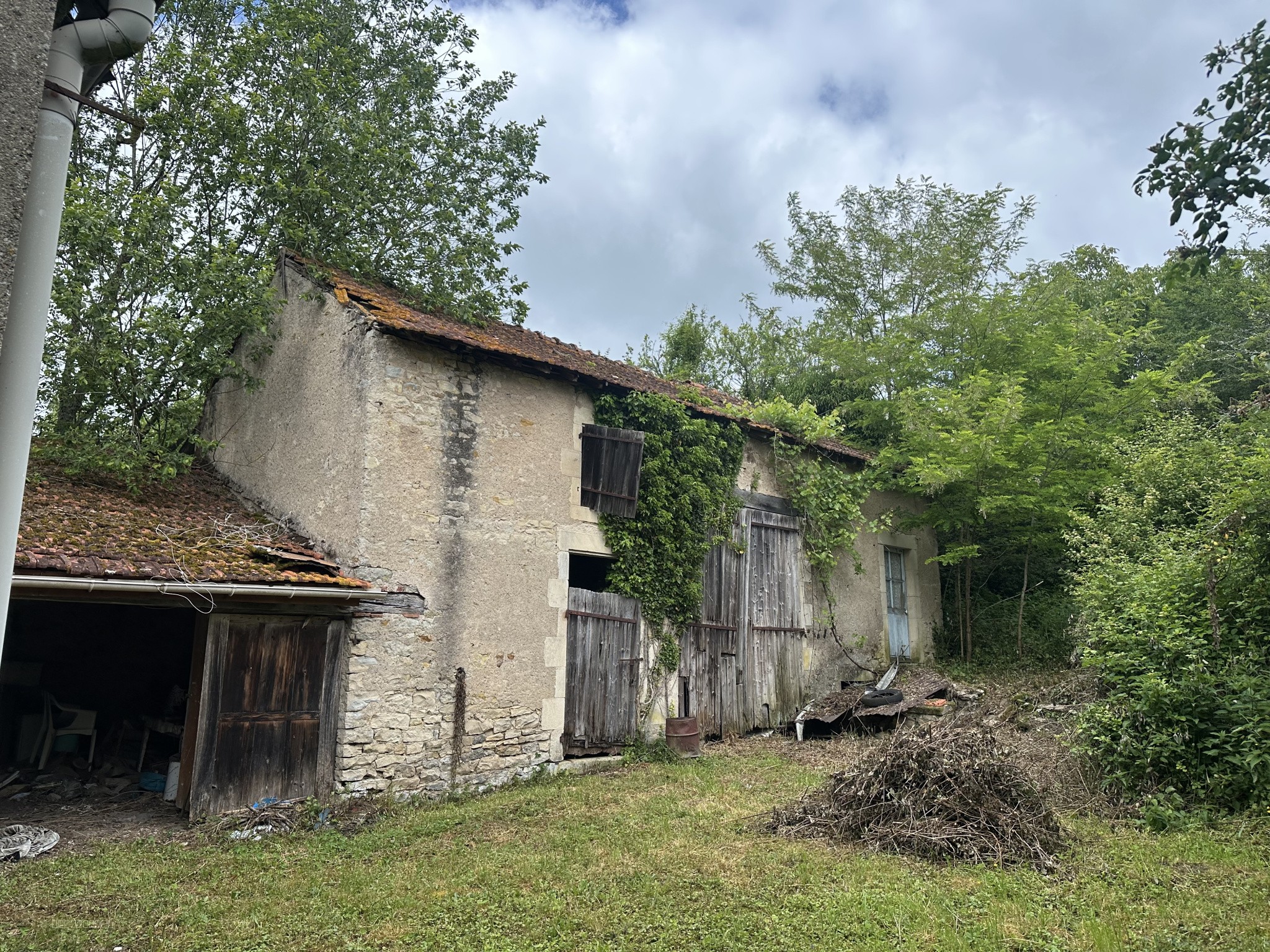 Maison indépendante  St Léger des Vignes - — photo 4
