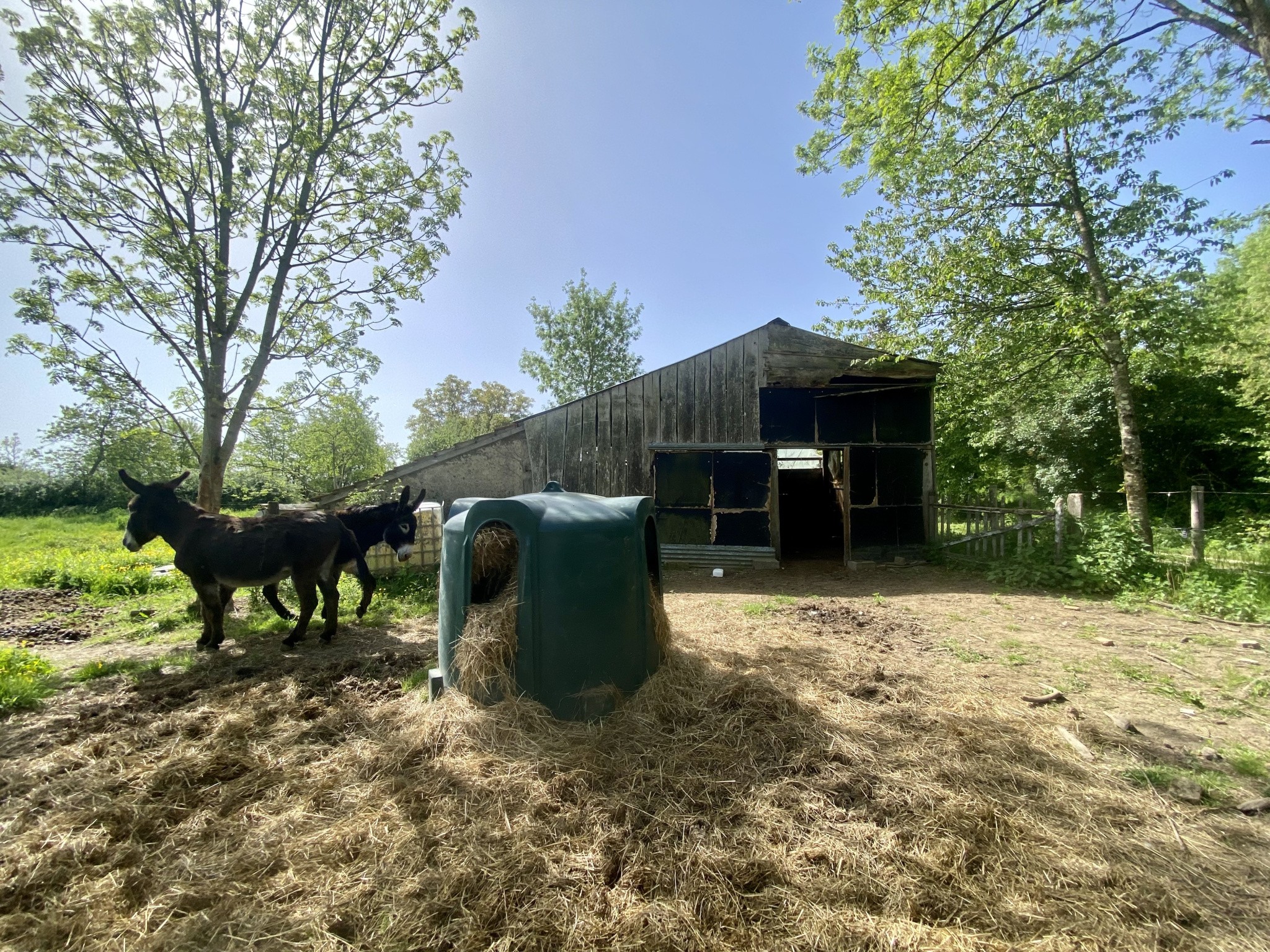 LONGERE INDEPENDANTE - 1,4 hectares - GANNAY/LOIRE 03230 — photo 3