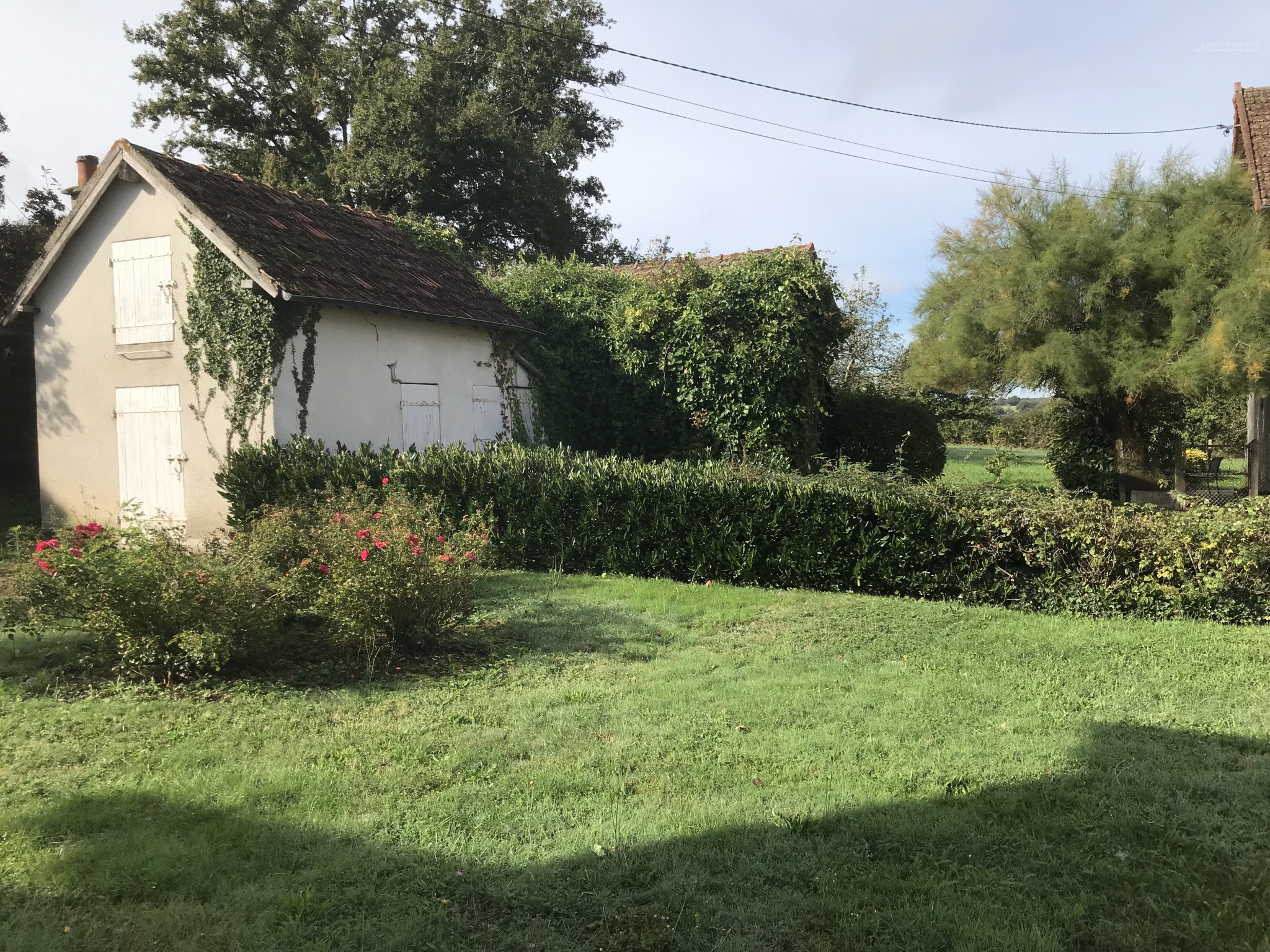 Proche de Decize et de Moulins, très bel ensemble immobilier comprenant trois habitations, garages et annexes, implanté sur un terrain arboré de 6 589 m2. — photo 9