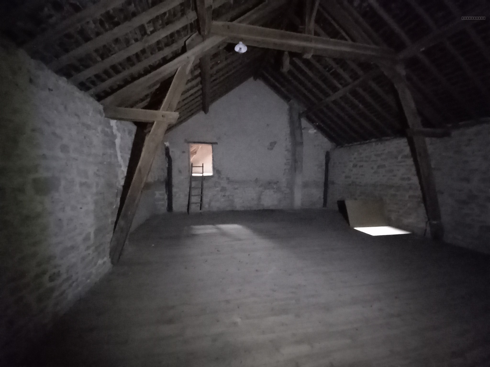 Ensemble Maison et grange BICHES 58110 — photo 19