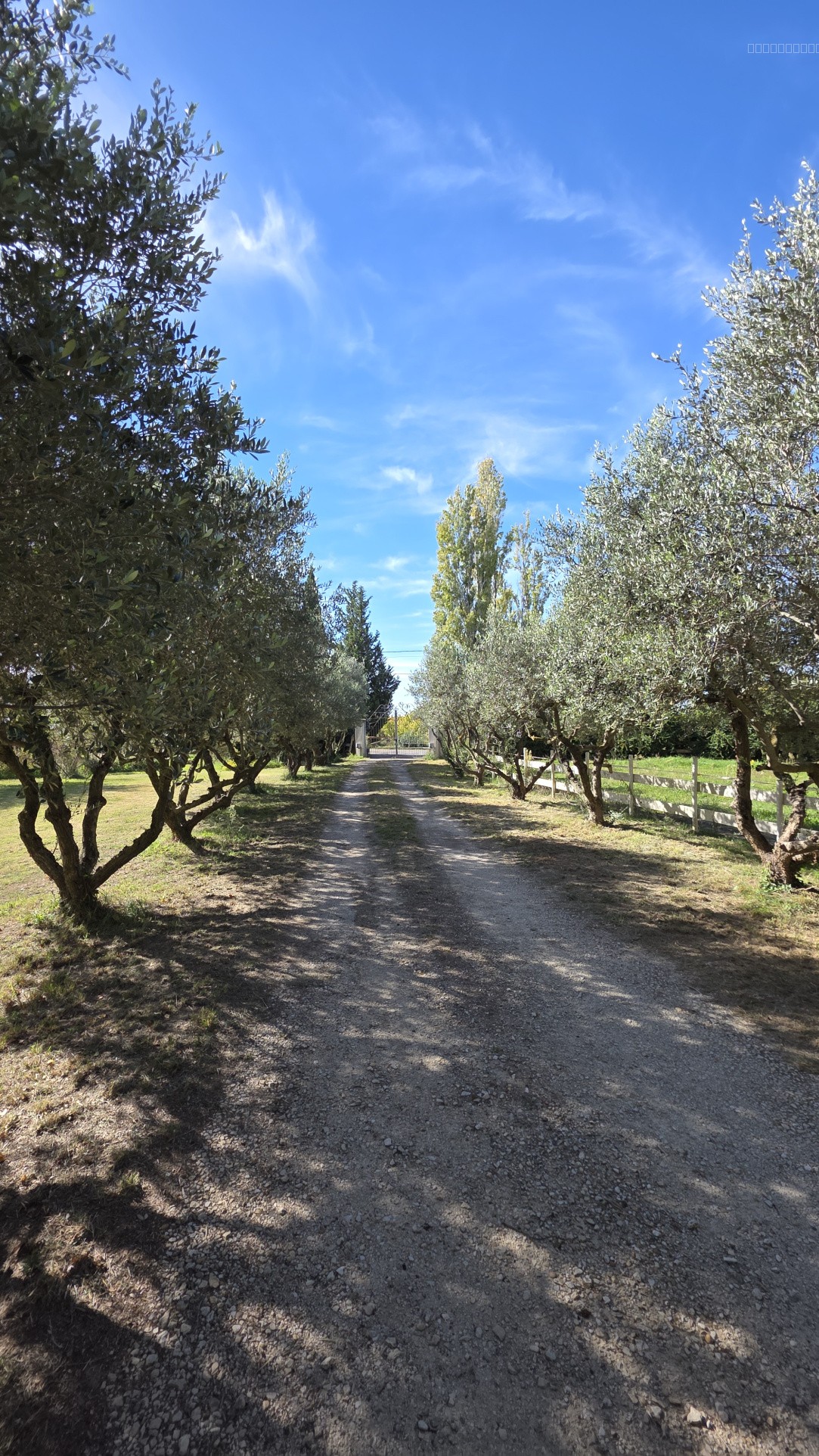 Propriété sur 2,7 hectares avec écuries — photo 13