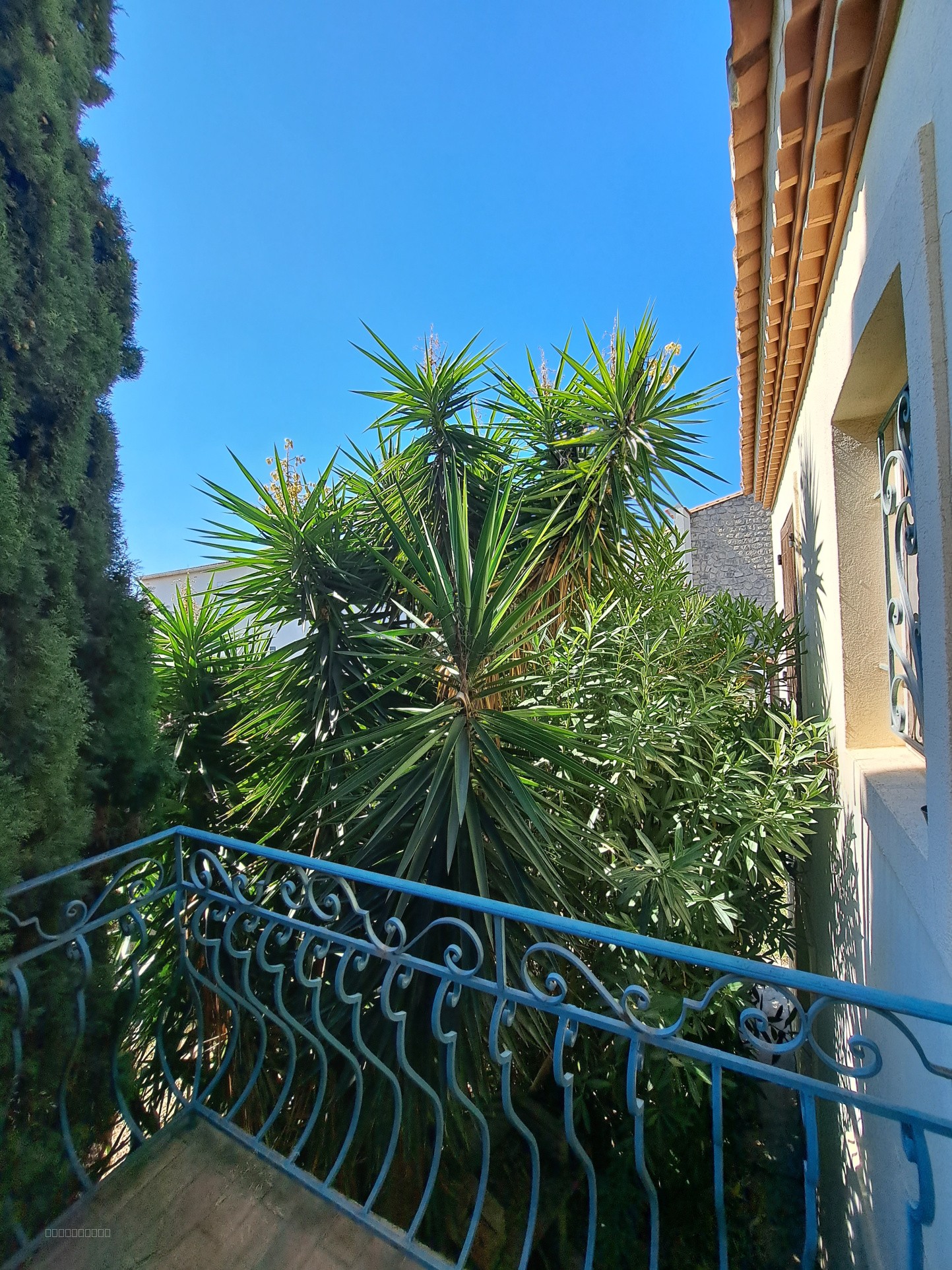 Villa quartier Montplaisir Sud Arles — photo 8
