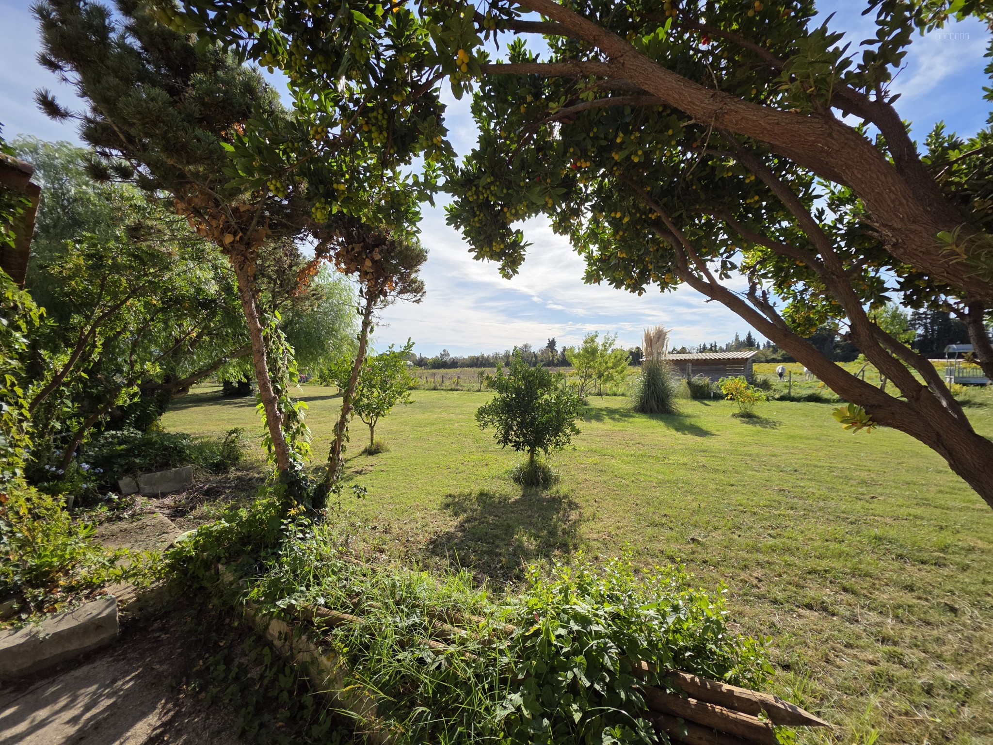 Propriété sur 2,7 hectares avec écuries — photo 3
