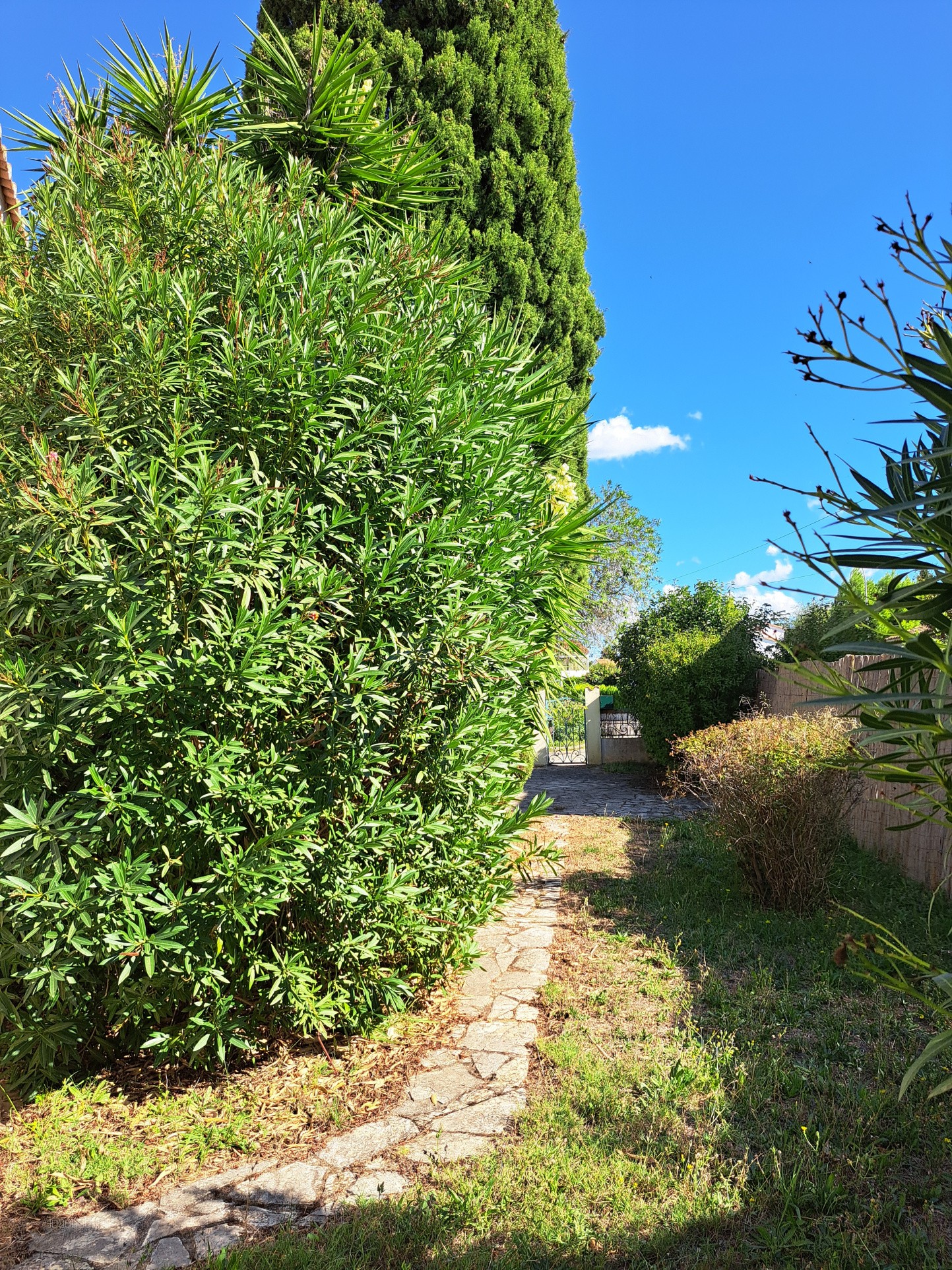 Villa quartier Montplaisir Sud Arles — photo 4