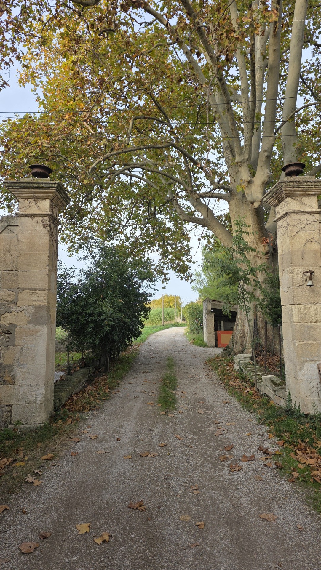 Maison atypique à Arles, pleine de caractère et d’histoire — photo 3