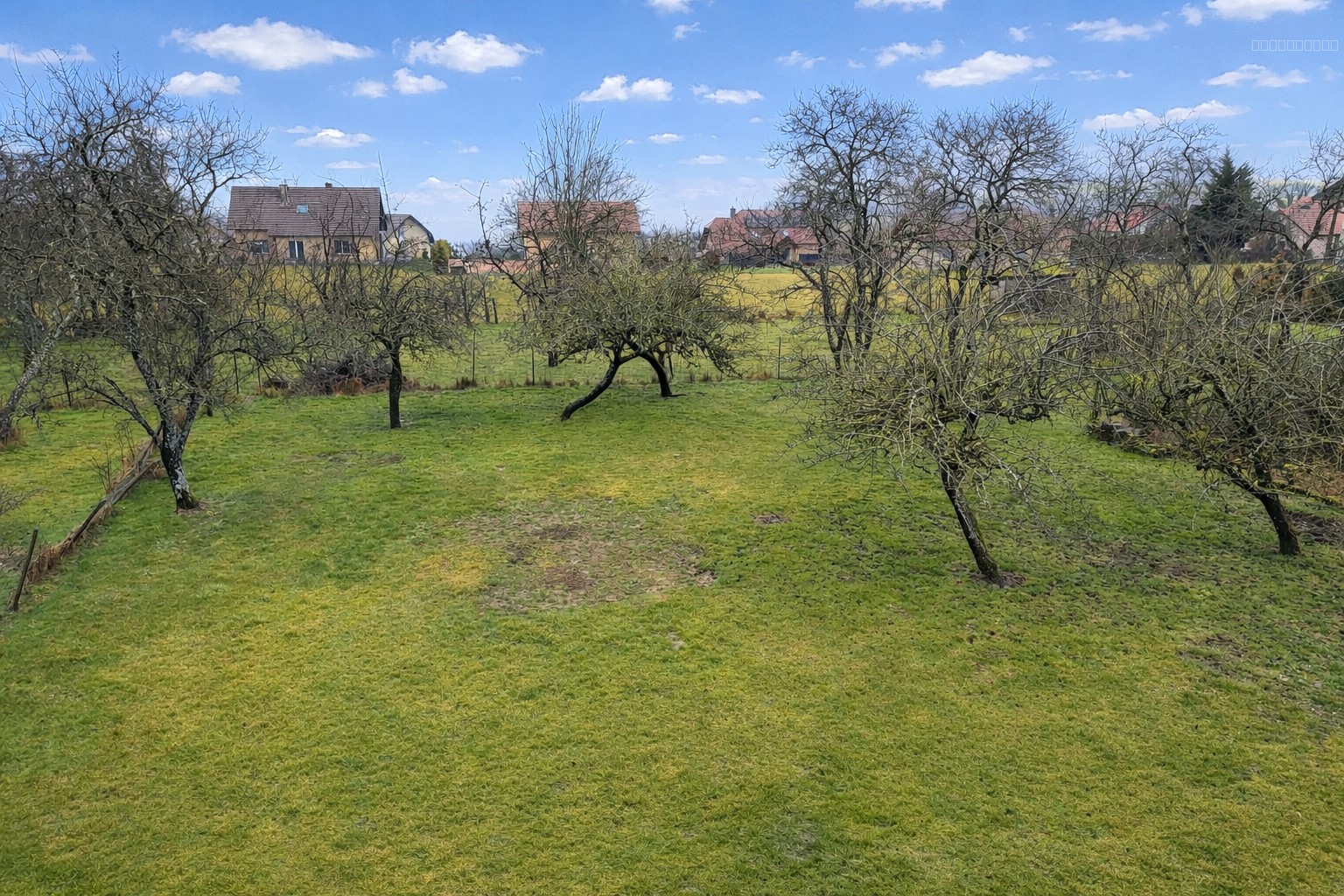 Maison individuelle a BELLEHERBE — photo 11