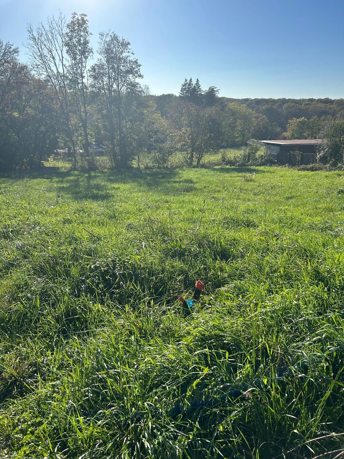 TERRAIN 700 M2 PIREY MONTBOUCONS — photo 2