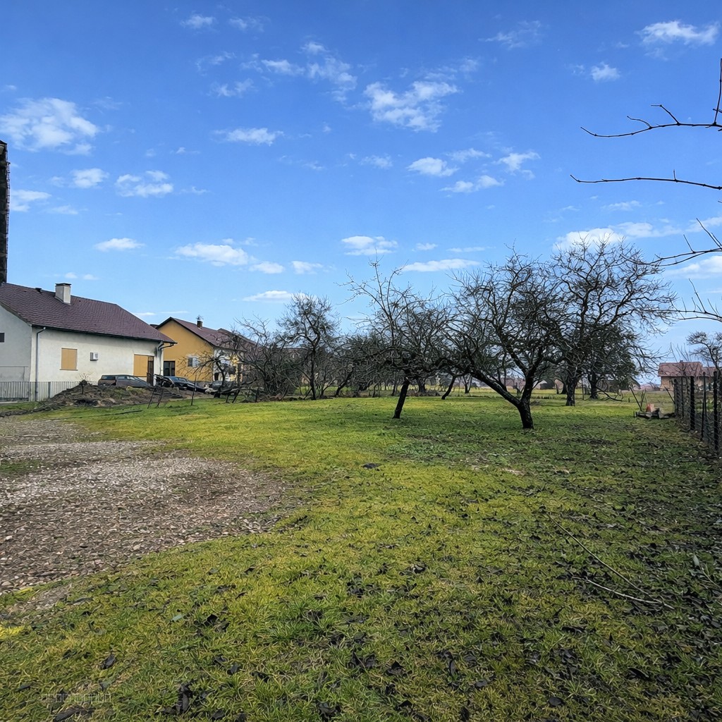 Maison individuelle a BELLEHERBE — photo 12