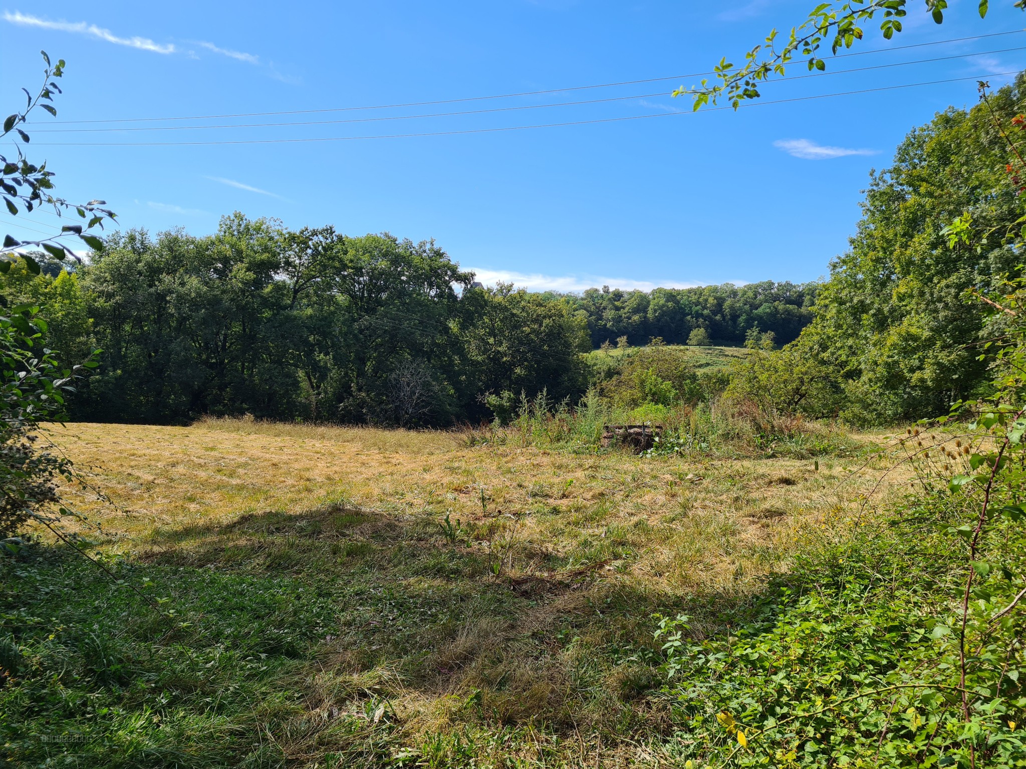 Terrain à bâtir de 4480m2 plein sud à 2 Kms de Collonges-la-rouge — photo 2