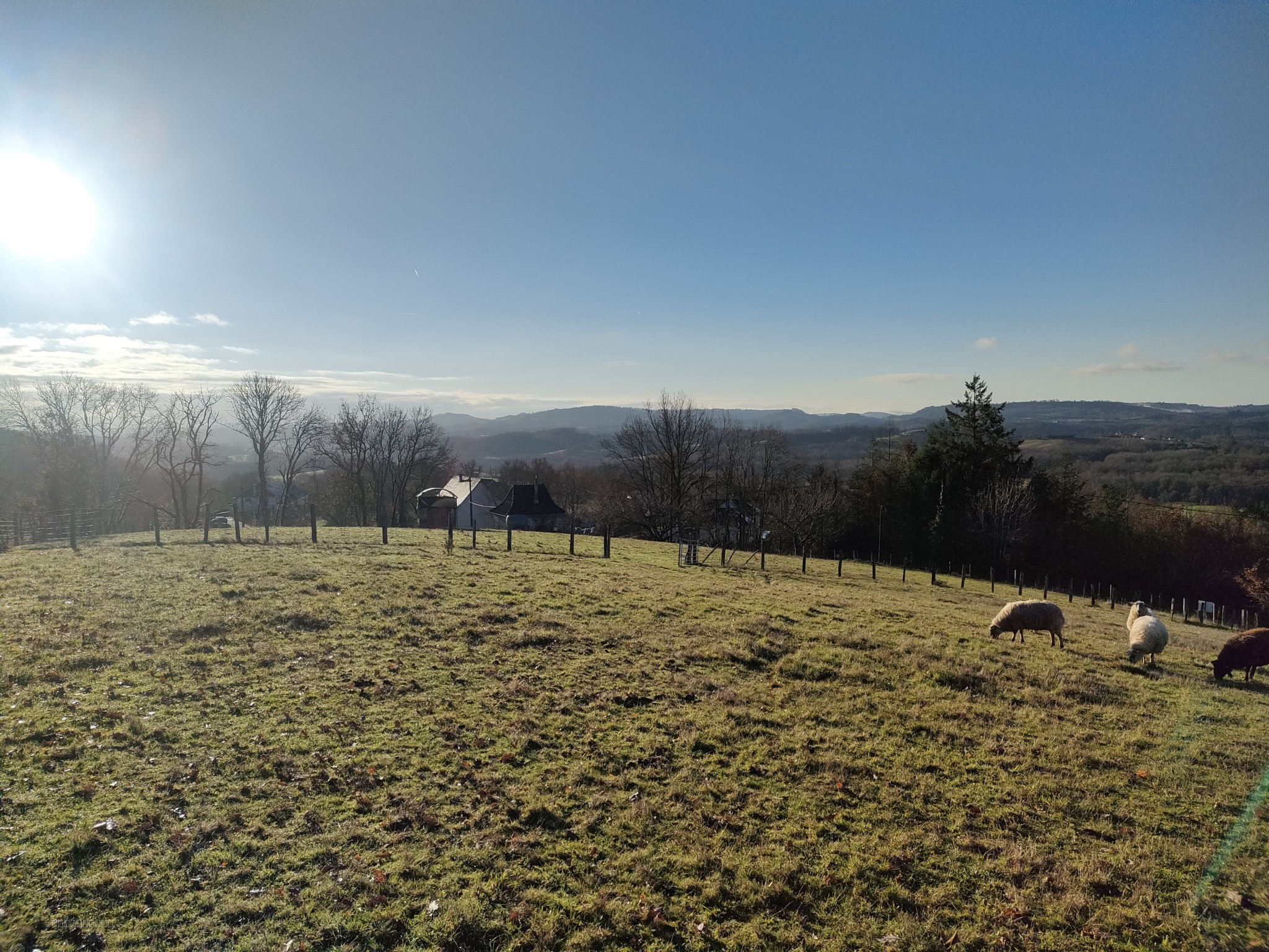 TERRAIN A JUILLAC — photo 2