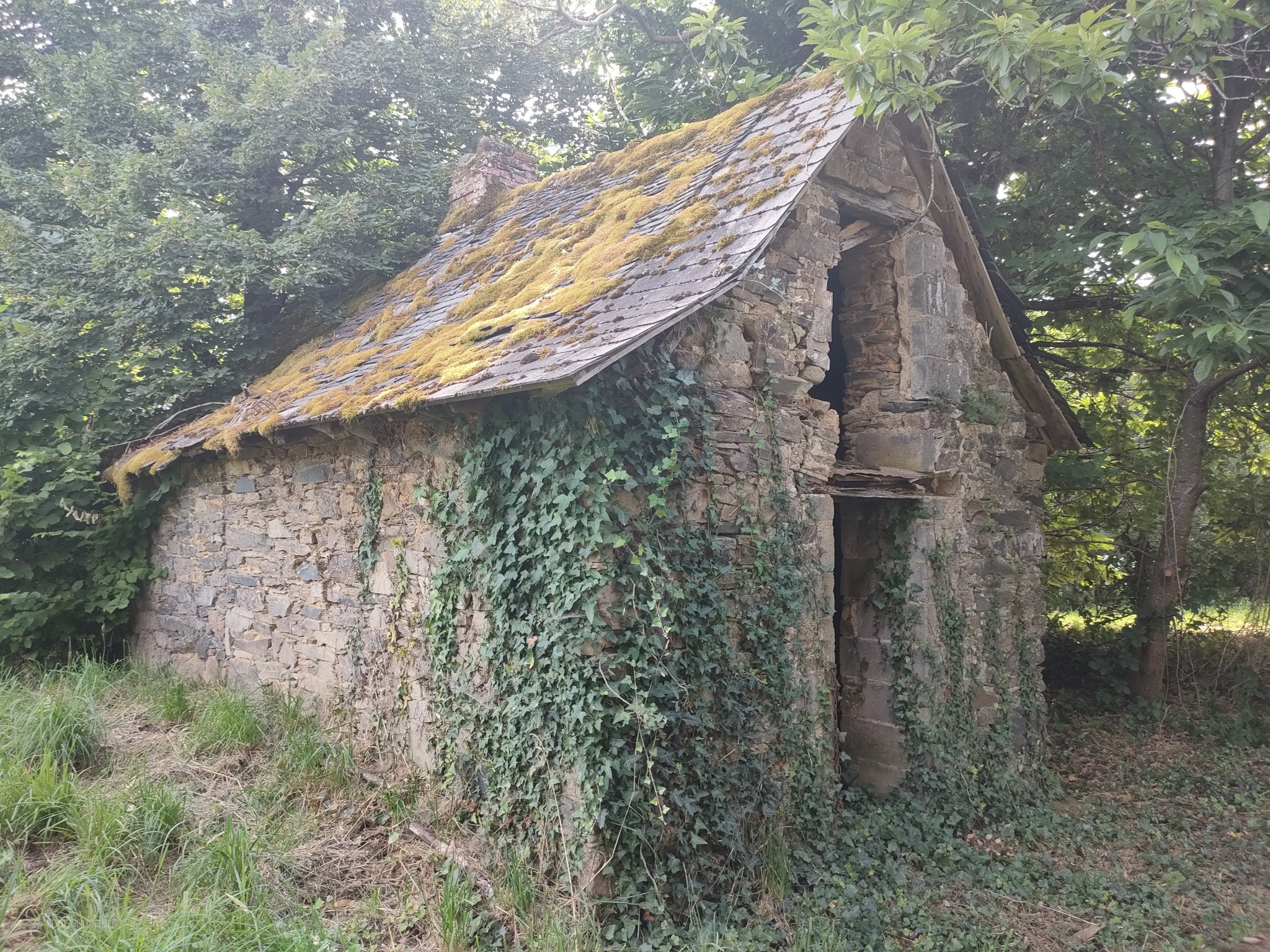 Maison en pierre 3 pièces — photo 6