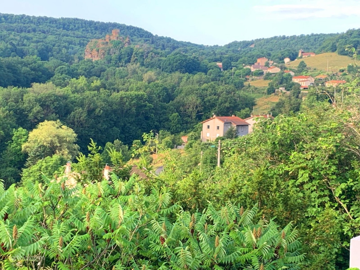 Maison 220m2, vue panoramique, piscine, terrain arboré 1917m2, à 5 min du puy en velay — photo 6