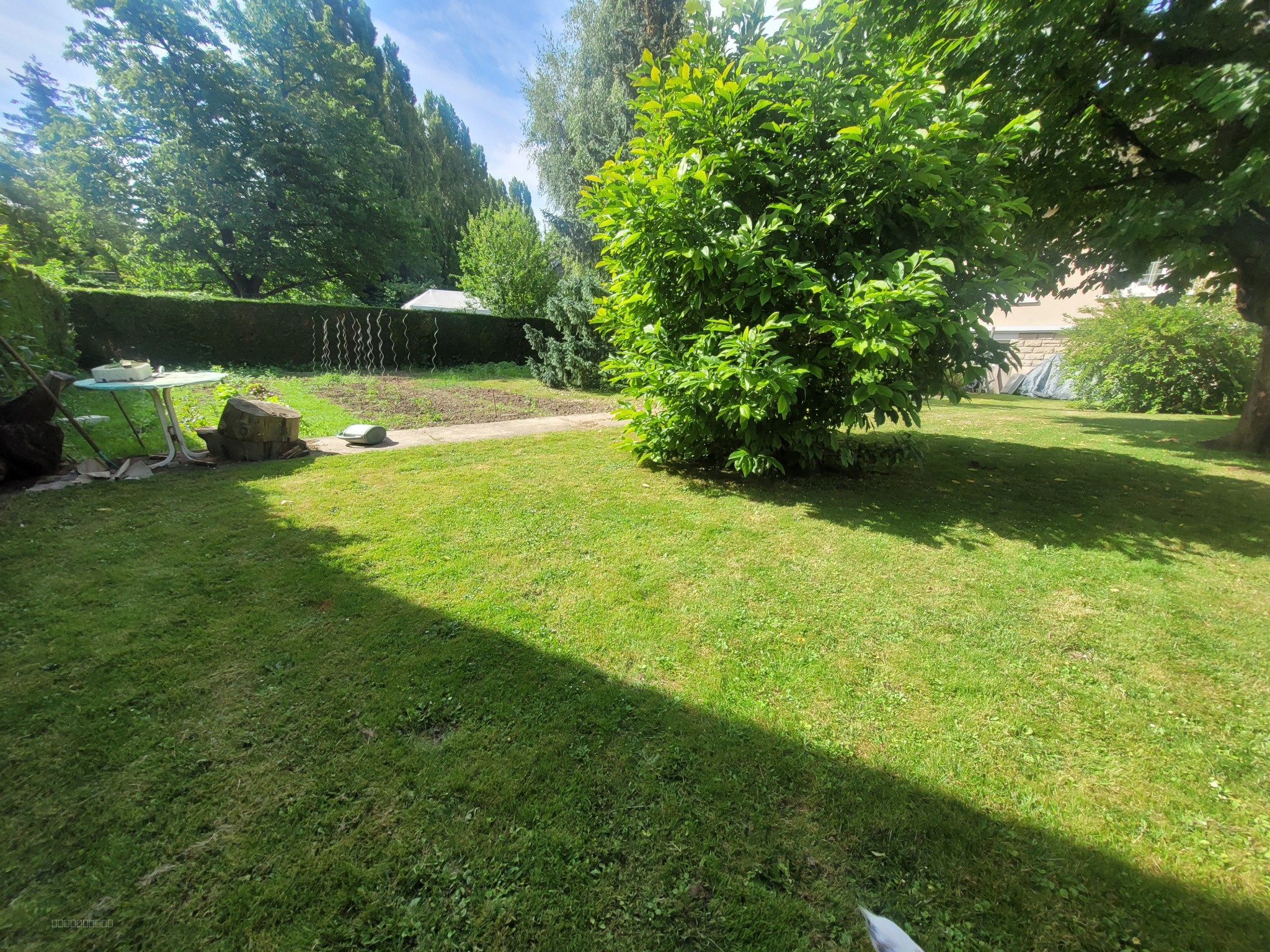 Belle maison familiale avec grand terrain - Le Thillay 95 — photo 6