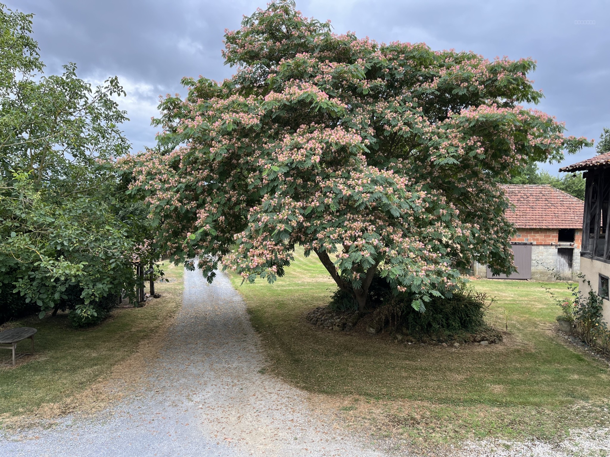 À Vendre   Ancienne ferme rénovée avec dépendances   Duffort (32710) — photo 13