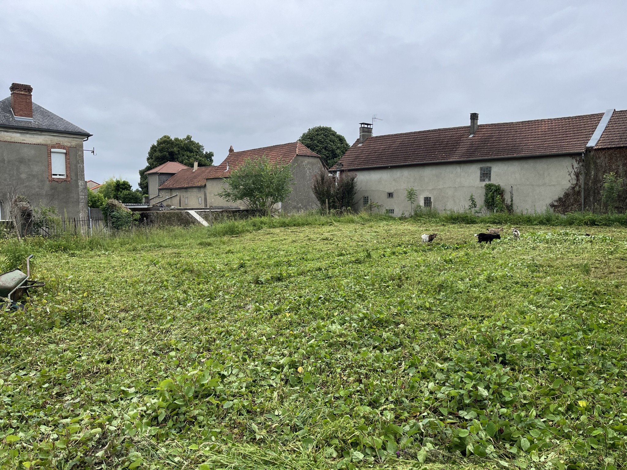 terrain a bâtir — photo 2