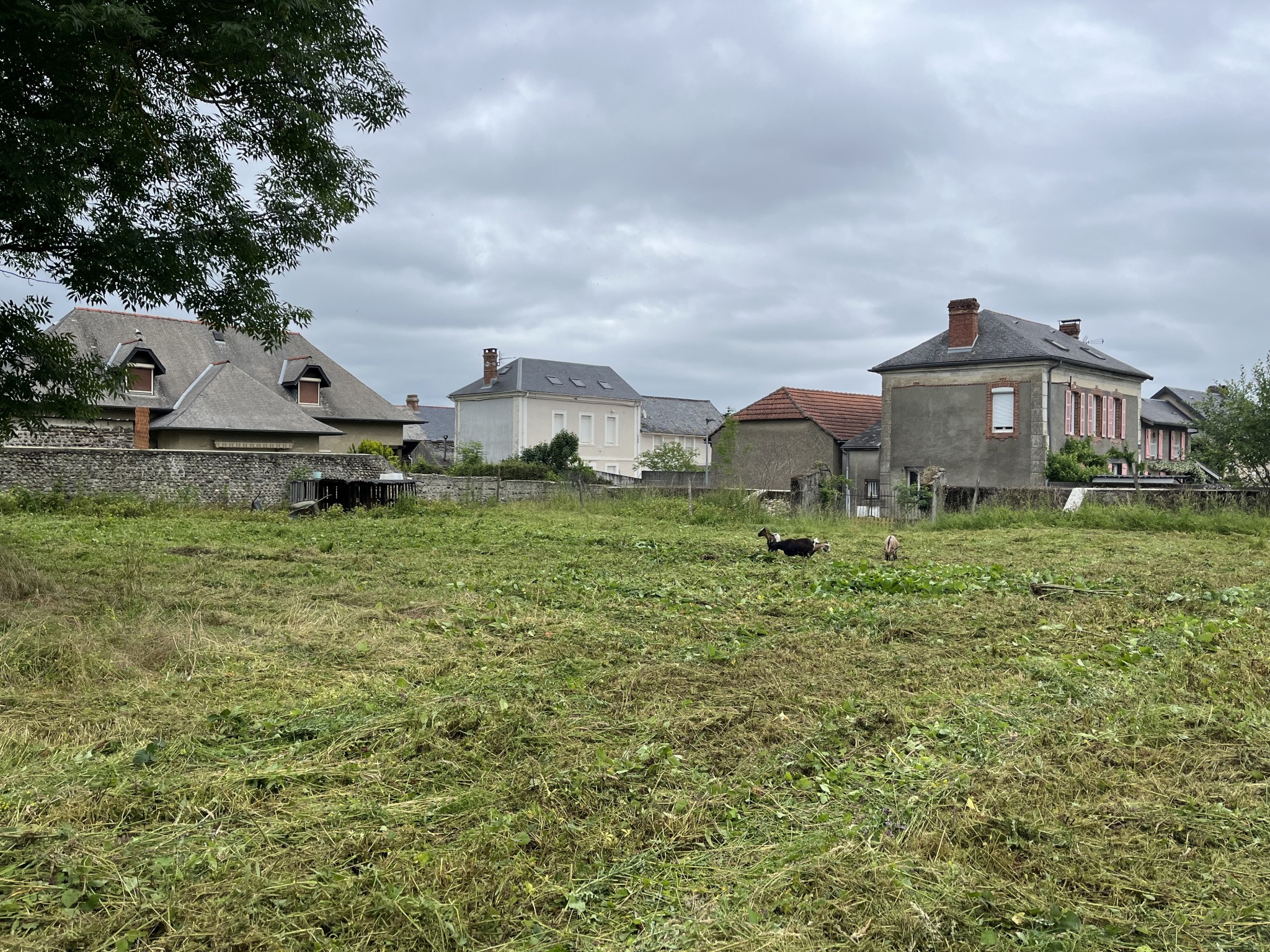 terrain a bâtir — photo 4