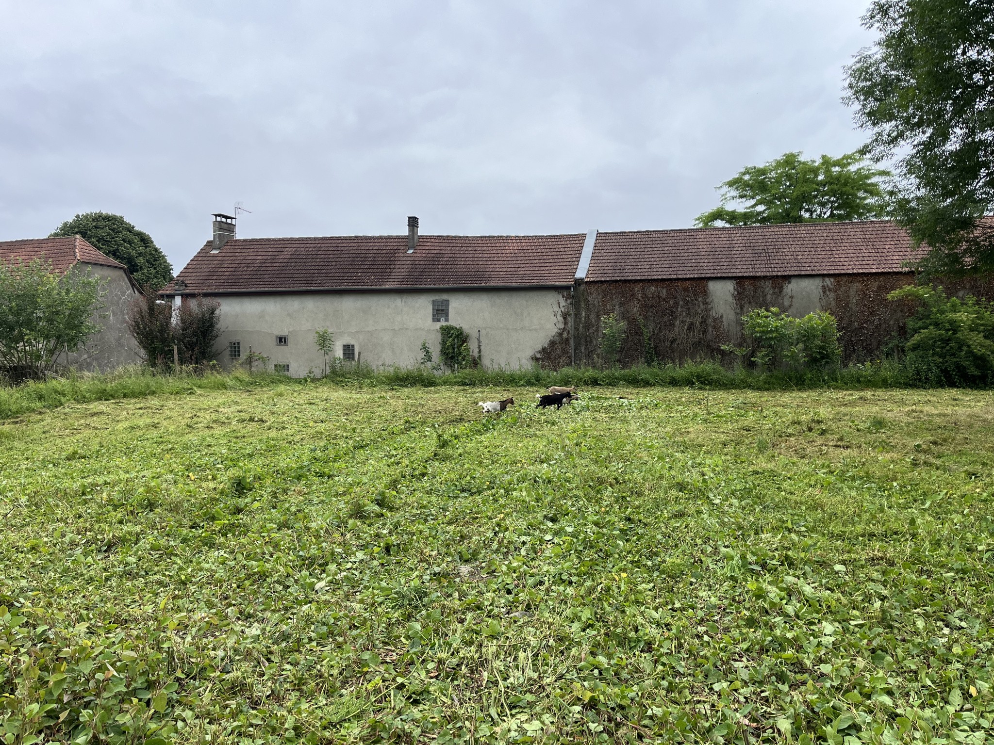 terrain a bâtir — photo 3