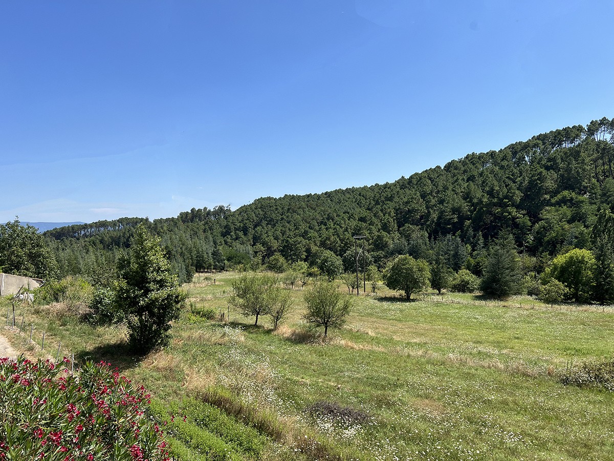Une demeure rurale en 4 logements avec 6,34 ha de terrain et deux sources. — photo 6