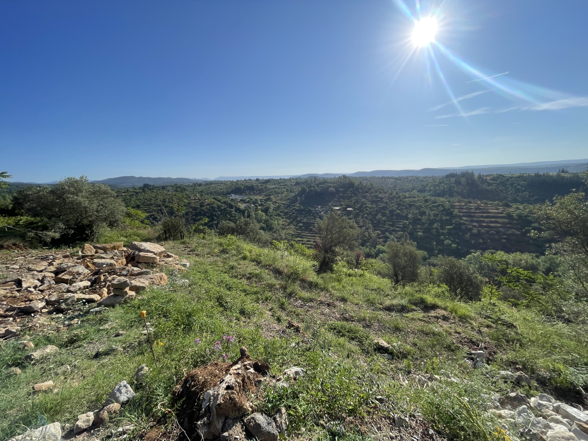 Terrain à bâtir de 3560 m2 viabilisé avec permis de construire pour une villa avec piscine. — photo 2