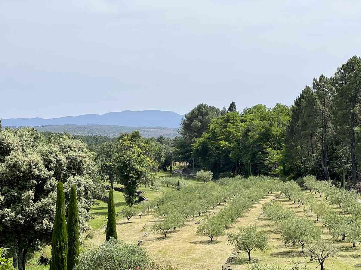 Un exceptionnel mas rénové de 196 m2 avec 1,6 ha de terrain et une piscine avec pool house. — photo 2