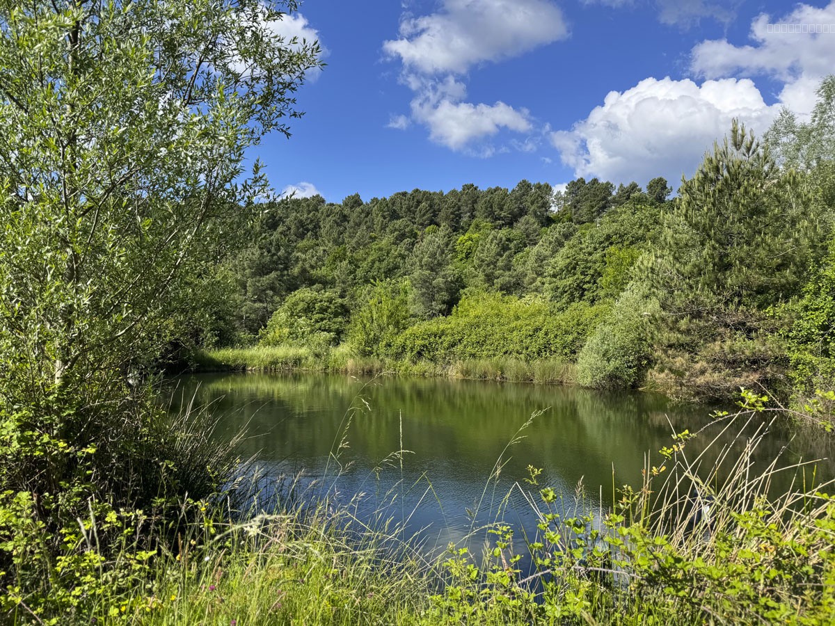 Une demeure rurale en 4 logements avec 6,34 ha de terrain et deux sources. — photo 7