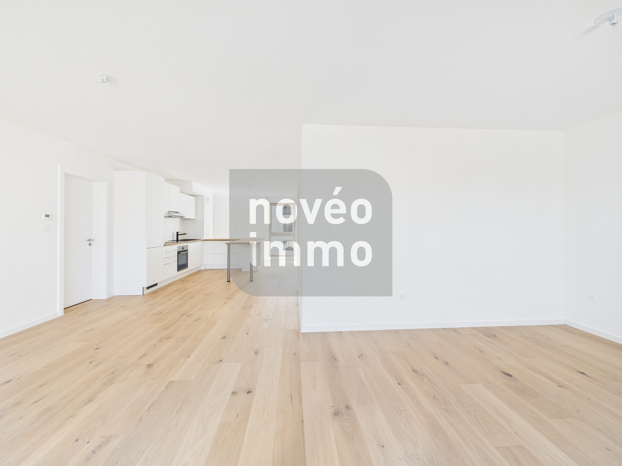 SUPERBE APPARTEMENT 3/4 PIECES ATTIQUE — photo 3