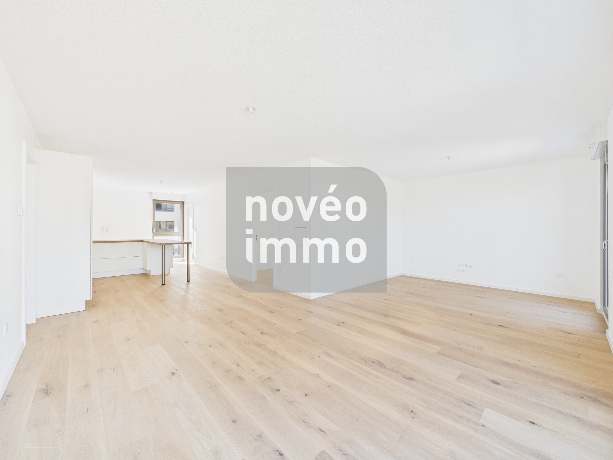 SUPERBE APPARTEMENT 3/4 PIECES ATTIQUE — photo 4