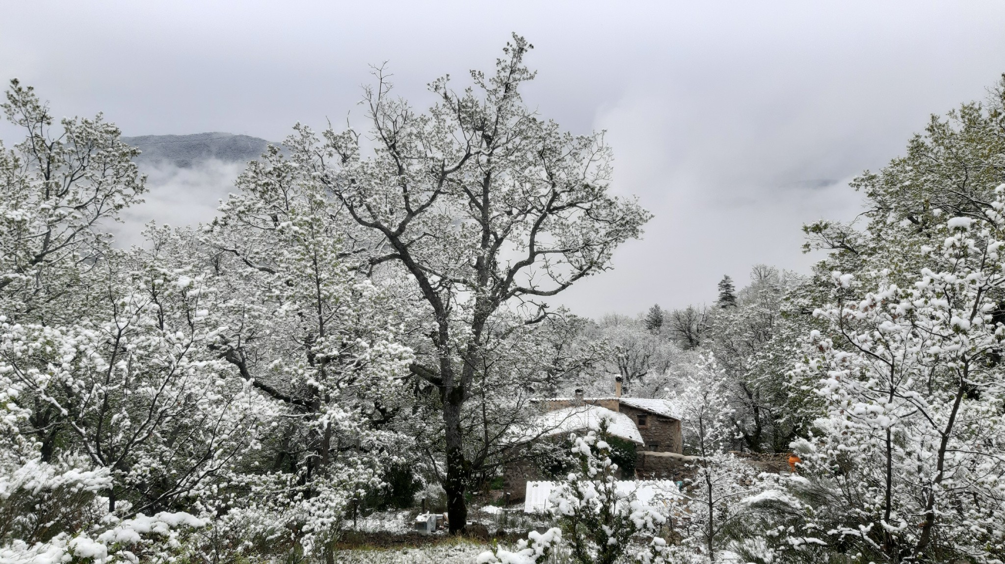 maison Castellane — photo 12