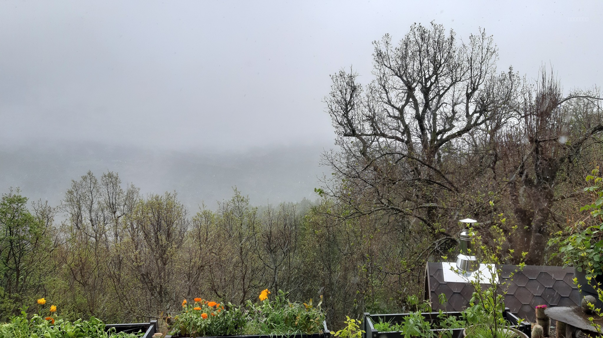 maison Castellane — photo 11