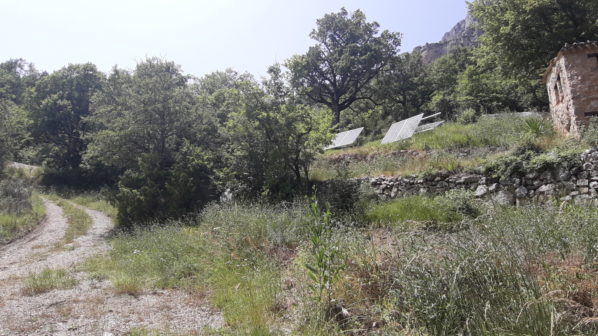 maison Castellane — photo 6