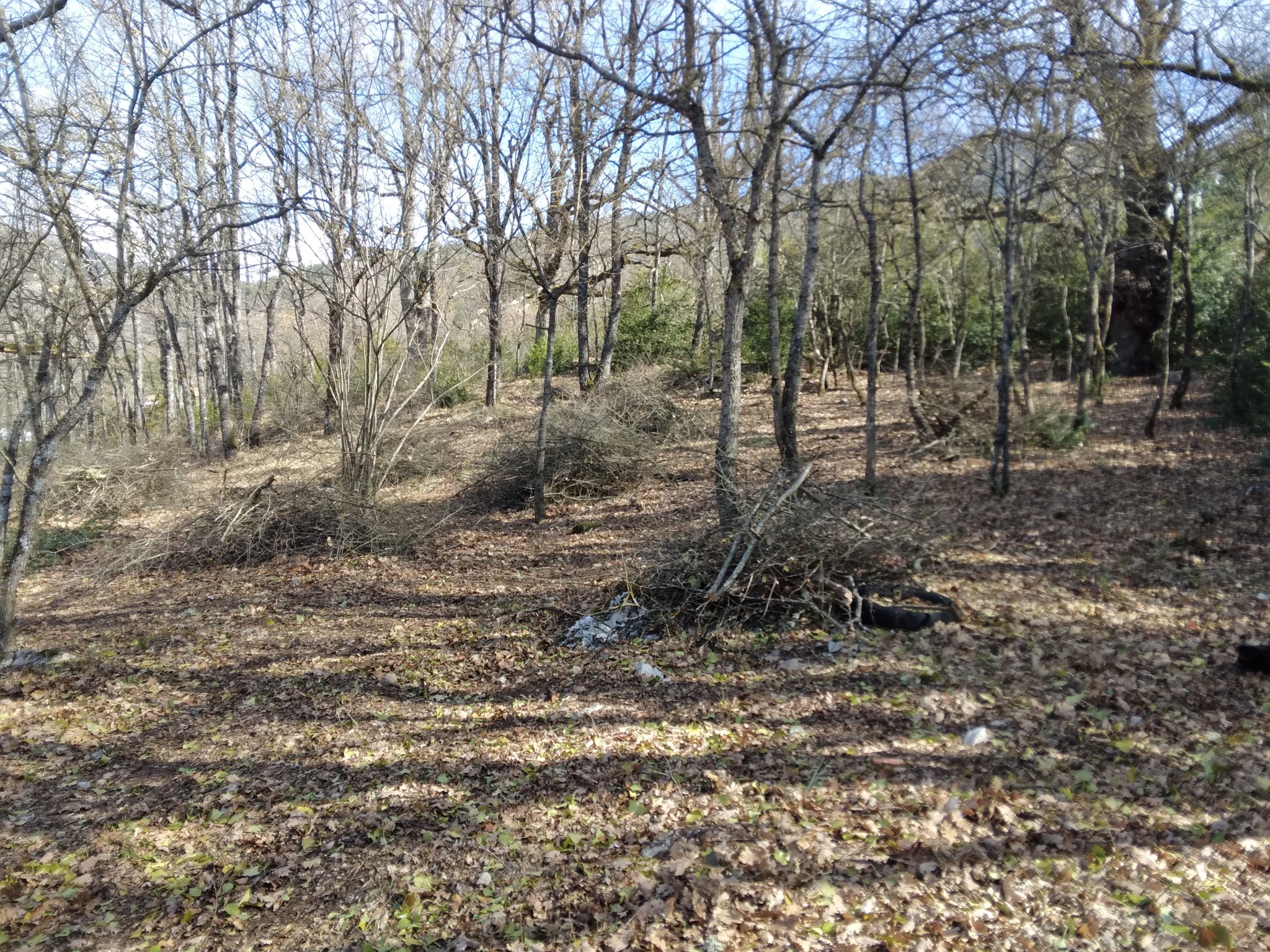 terrain Castellane — photo 5
