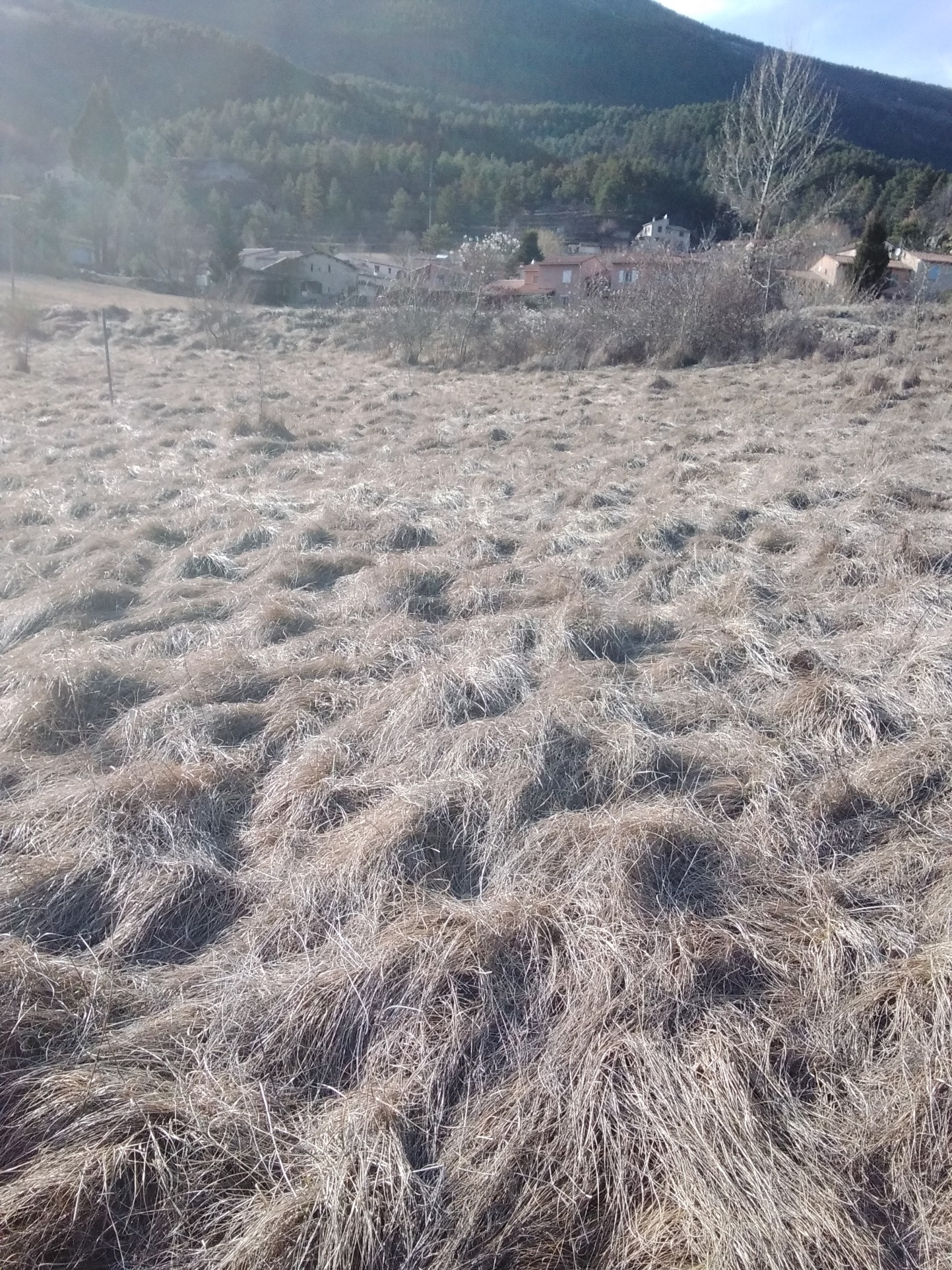 terrain Annot — photo 1