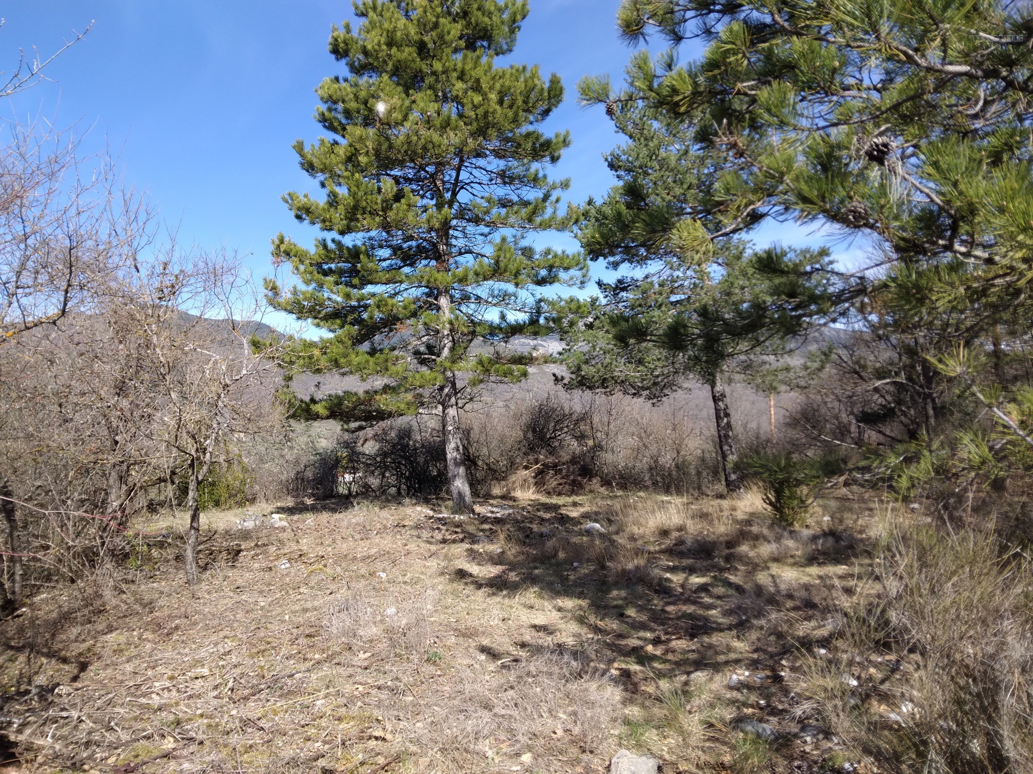 terrain Castellane — photo 3
