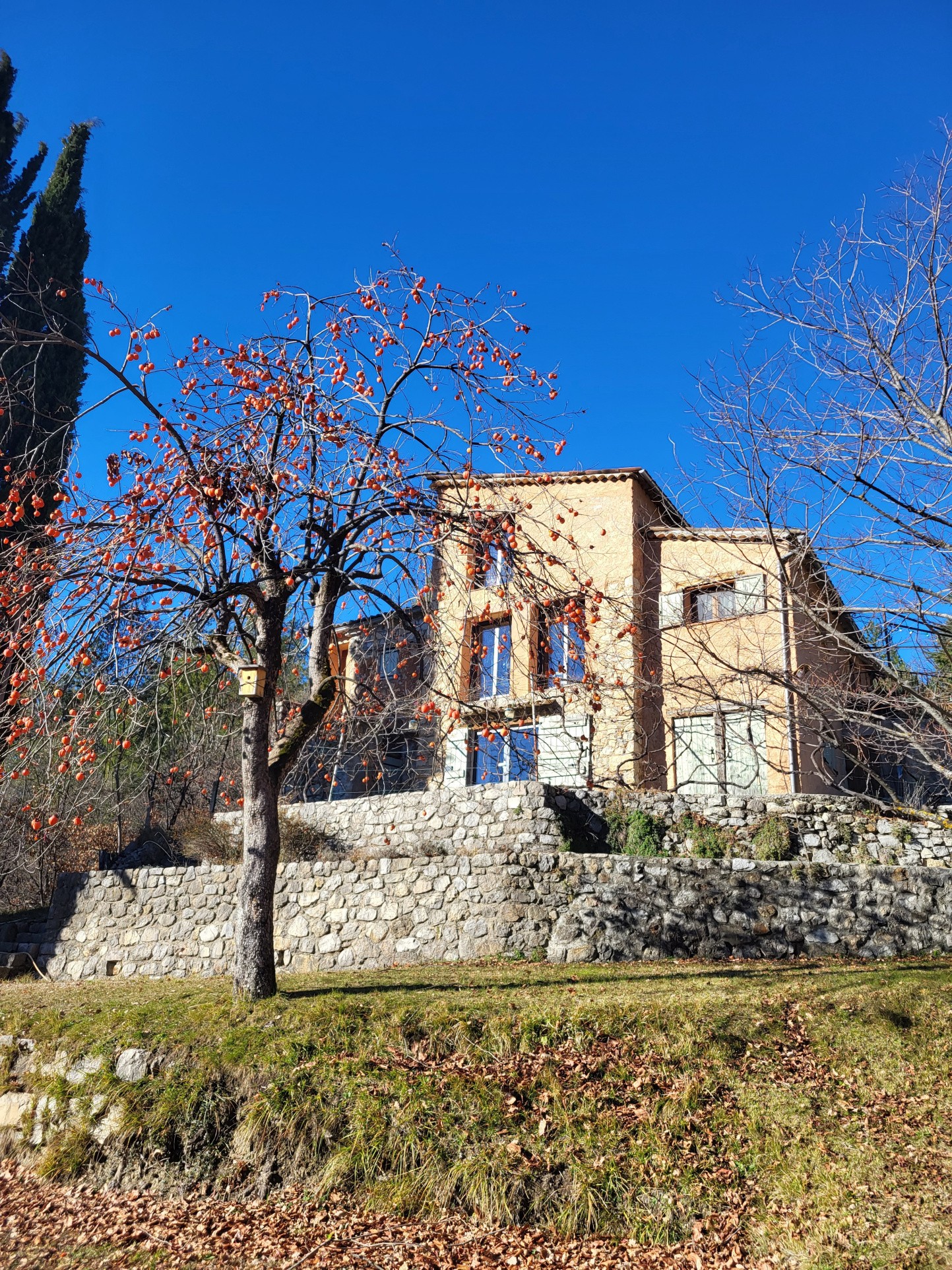 Ancienne bergerie — photo 8