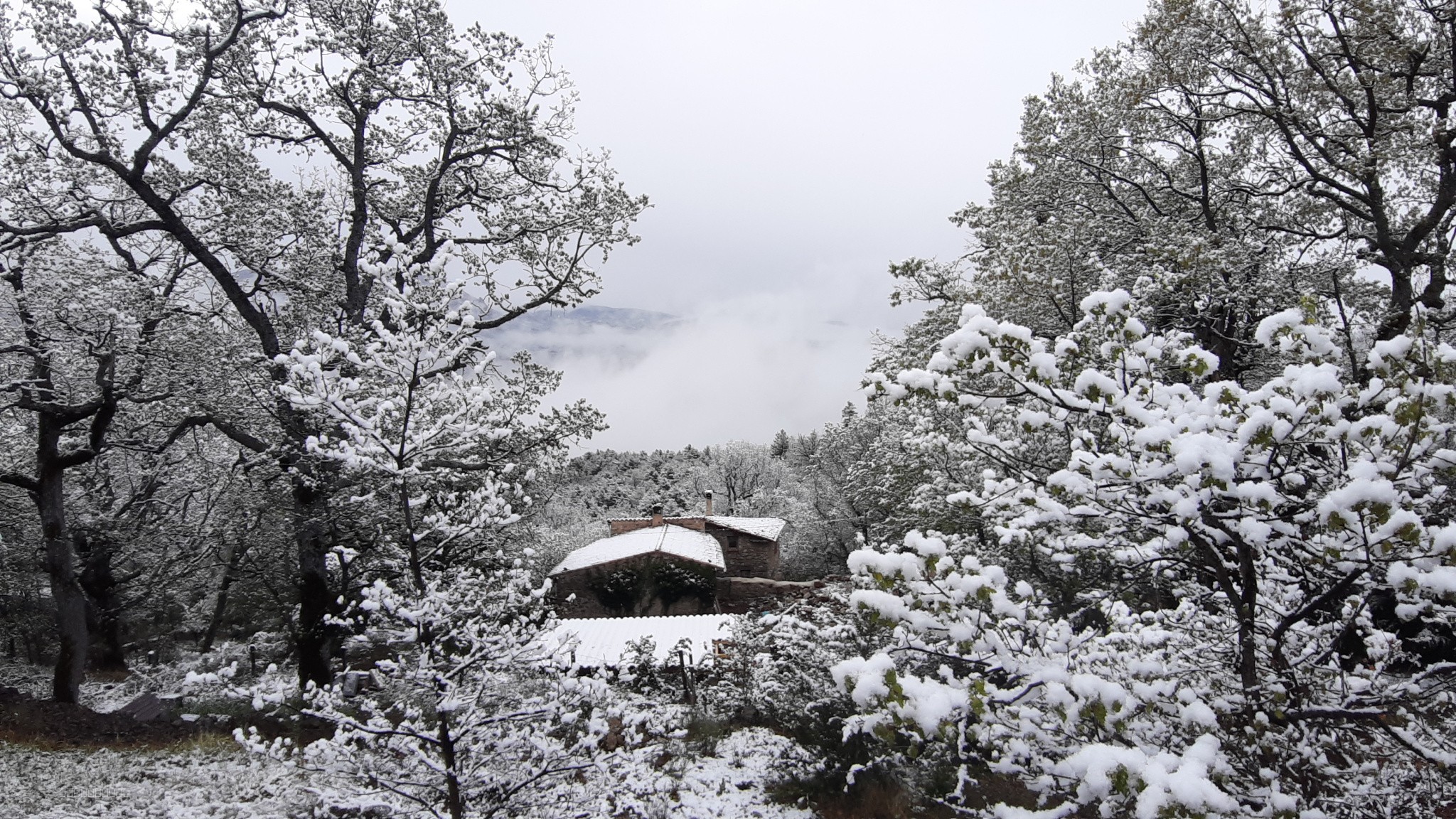 maison Castellane — photo 10