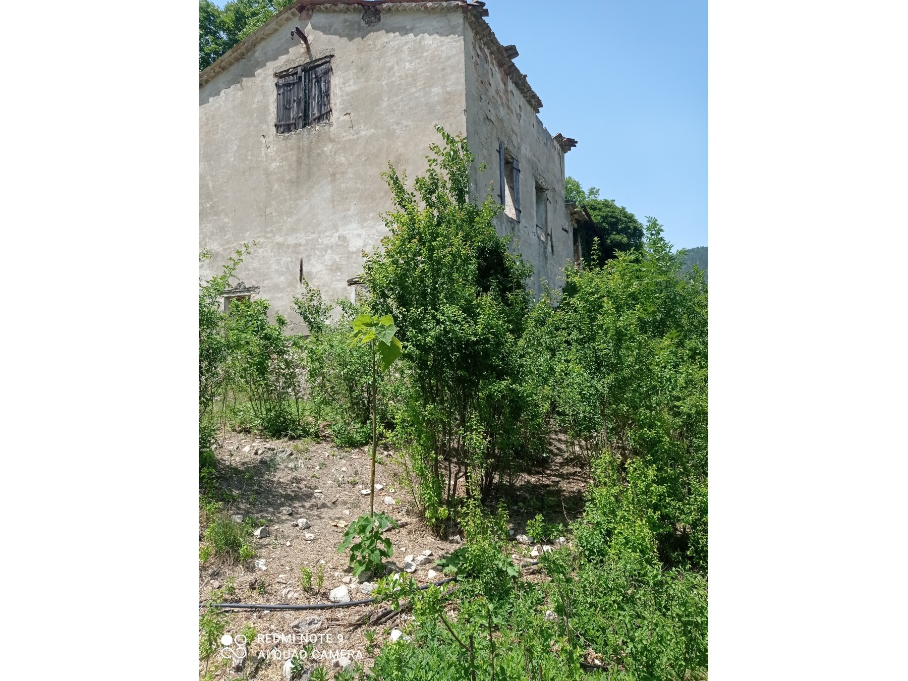 autre Entrevaux — photo 1