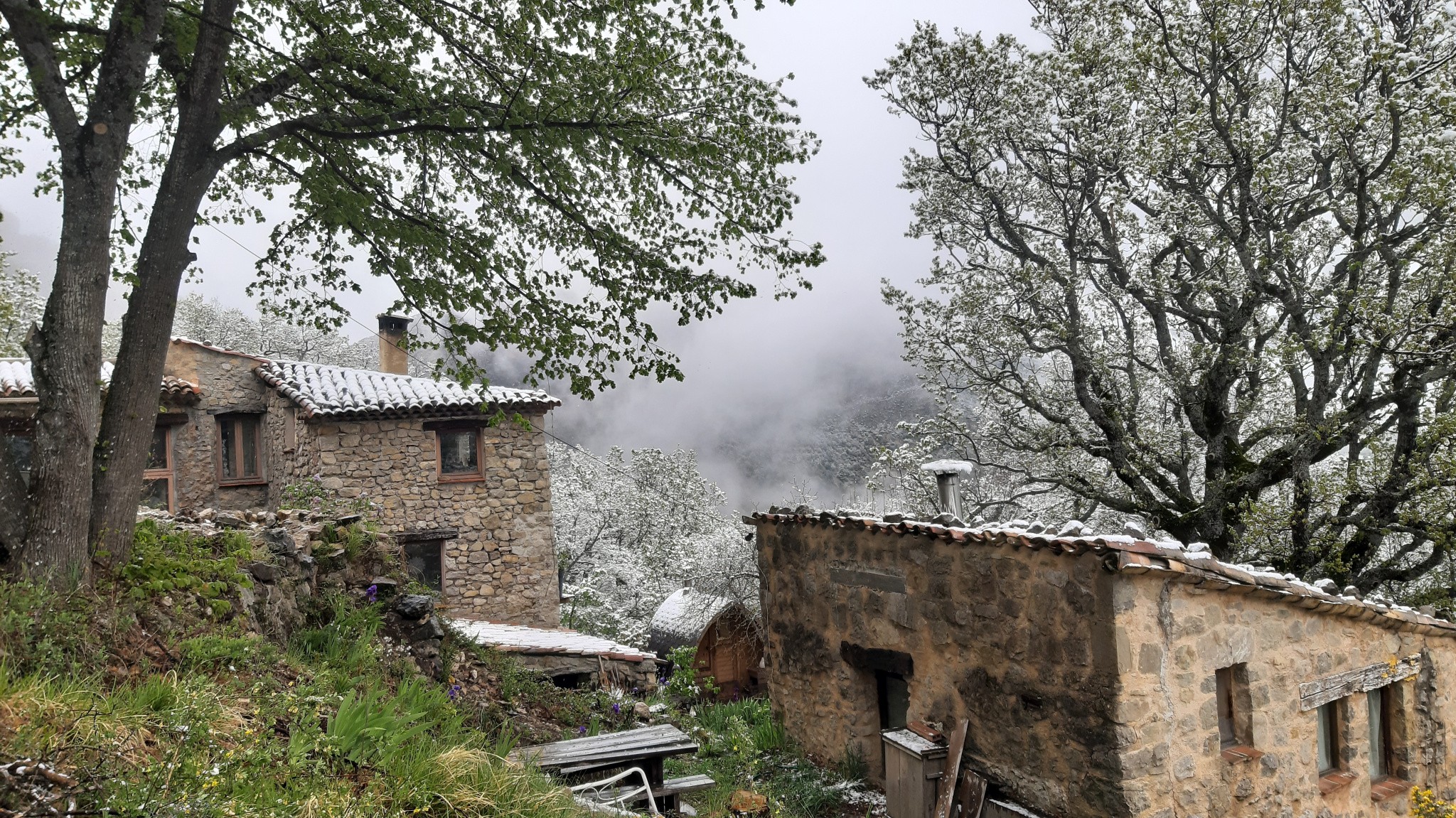 maison Castellane — photo 8