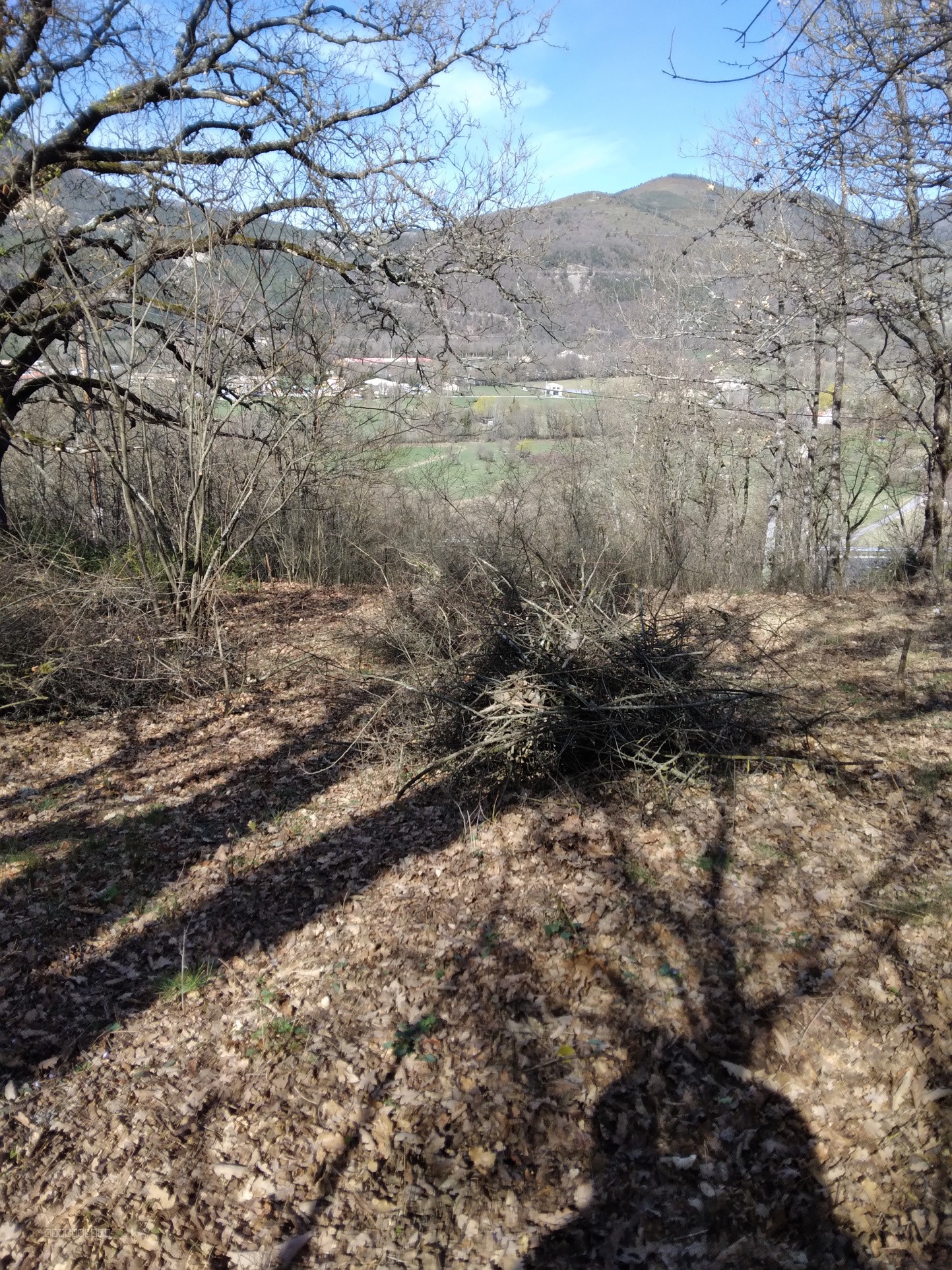 terrain Castellane — photo 2