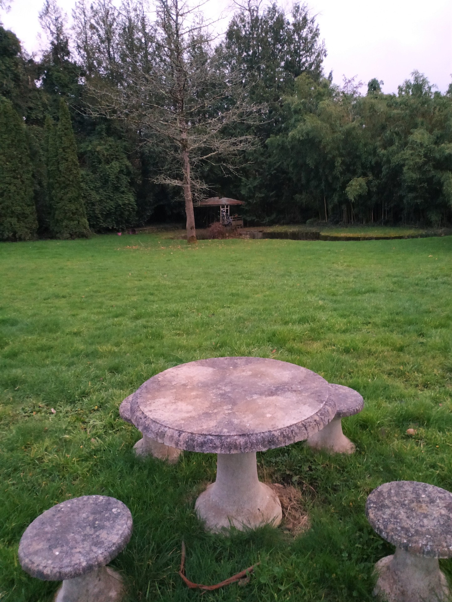 PROPRIETE SUR 7354 M2 DE TERRAIN COMPRENANT UNE MAISON DE MAÎTRE ET UNE MAISON RECENTE — photo 3