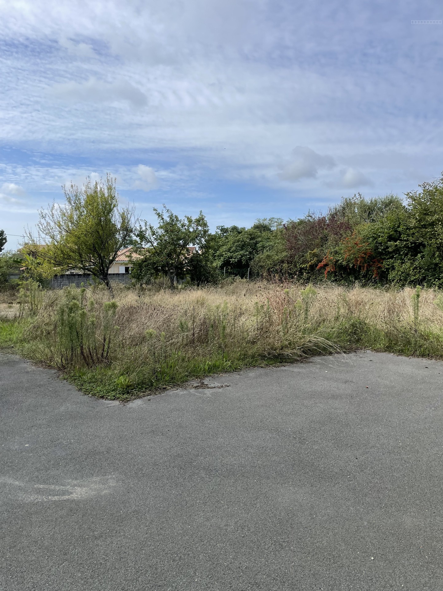 TAILLAN MEDOC MAISON DE 277 M2 +TERRAIN CLOTURE de 1600  m2 +HANGAR — photo 5