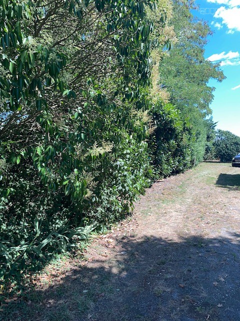 EYSINES MAISON 90 M2 AVEC GRAND JARDIN de 700 M2 — photo 11