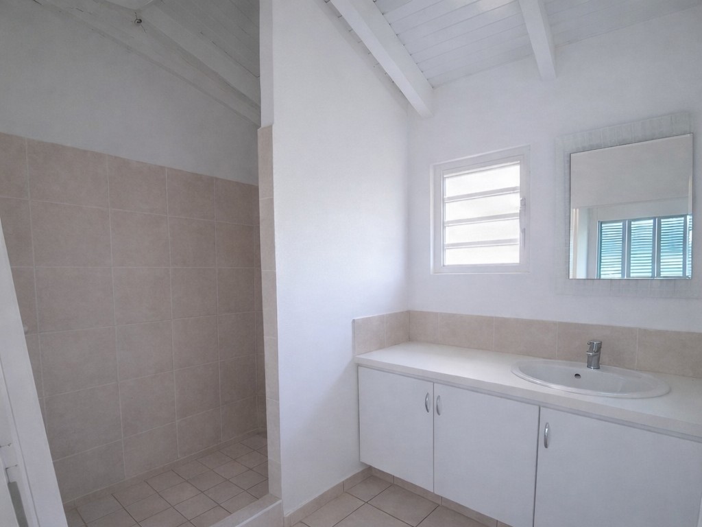 À vendre   Villa 3 chambres   Friar’s Bay — photo 7