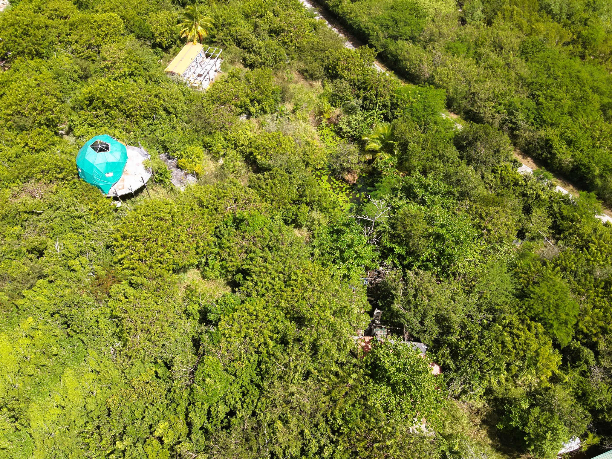 RARE A LA VENTE - TERRAIN BAIE ROUGE 7000m2 — photo 3