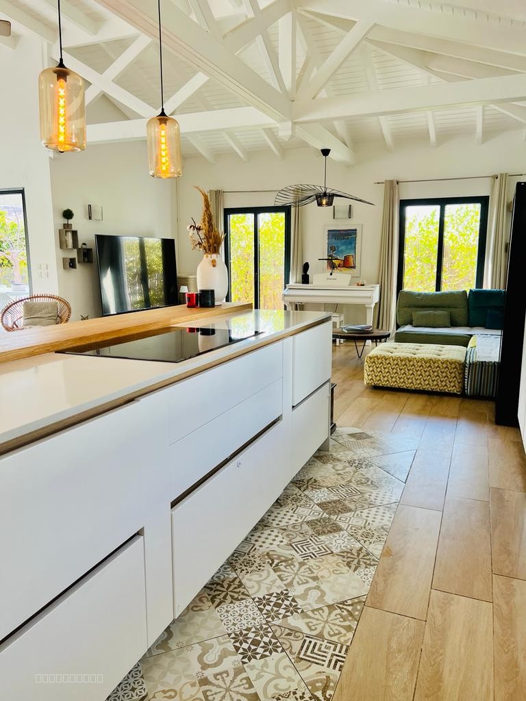 À Vendre : Superbe Villa T5 avec Piscine à Anse Marcel, Saint-Martin — photo 12