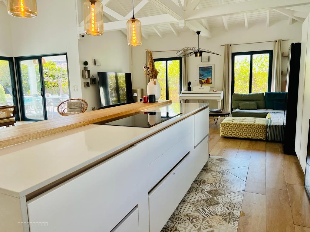 À Vendre : Superbe Villa T5 avec Piscine à Anse Marcel, Saint-Martin — photo 8
