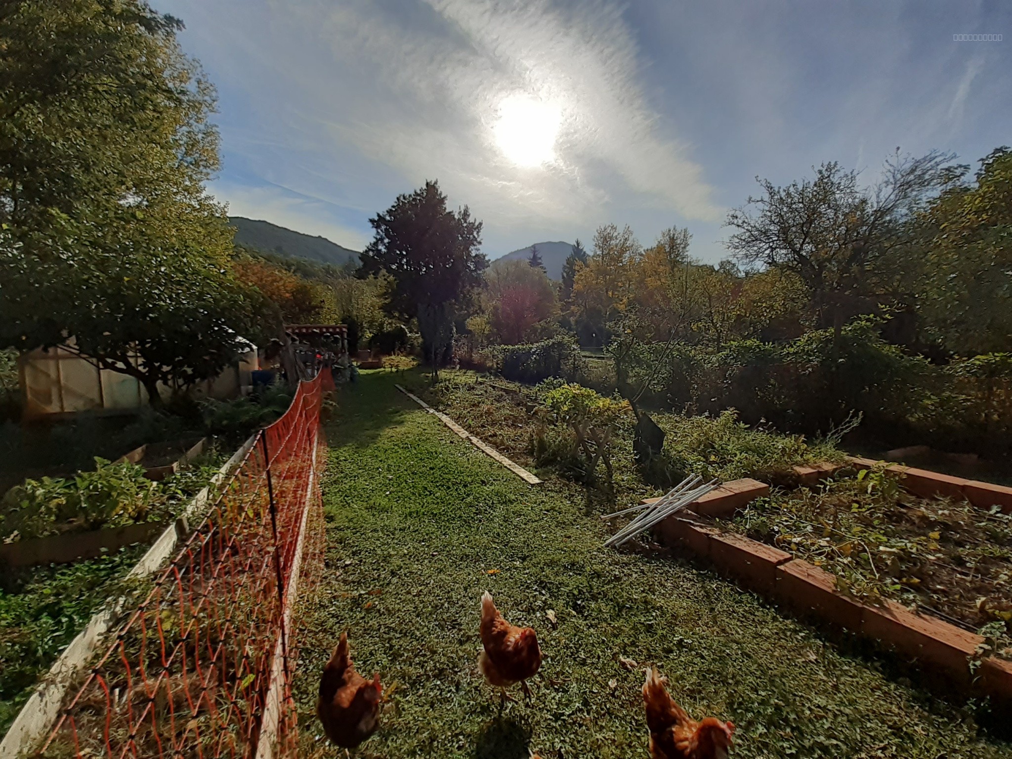 Maison de maître de caractère entièrement restaurée avec jardin non attenant — photo 17