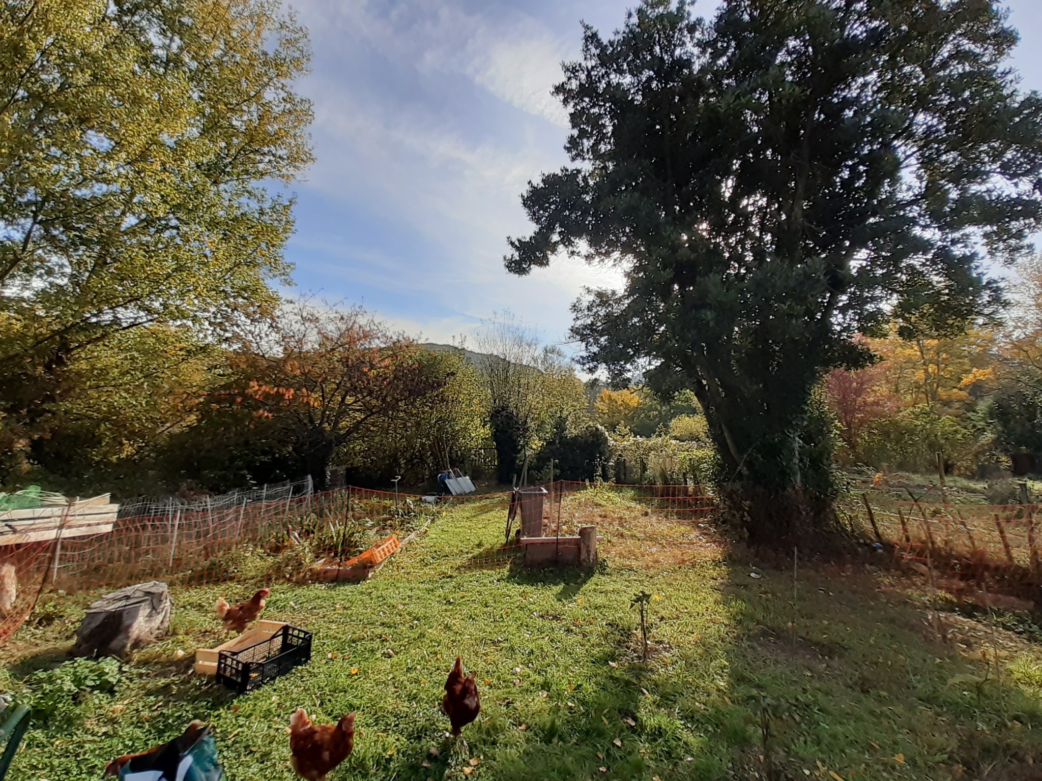 Maison de maître de caractère entièrement restaurée avec jardin non attenant — photo 3