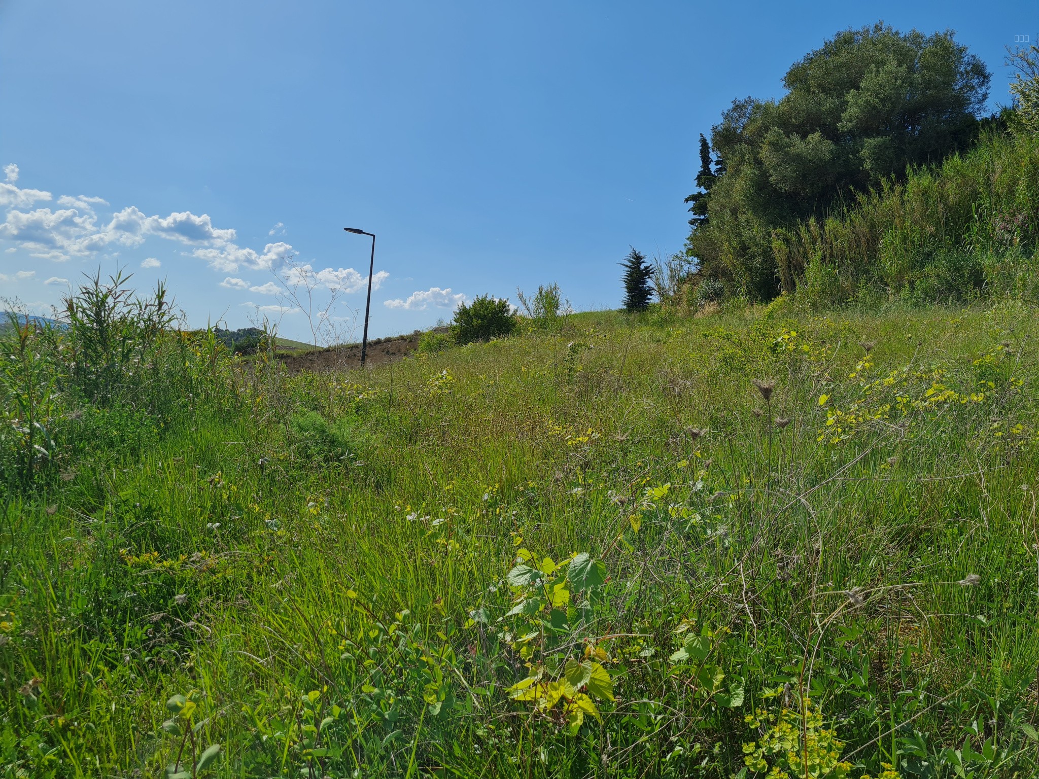 LIMOUX, terrain viabilisé  744 m2 en position dominante exposition SUD