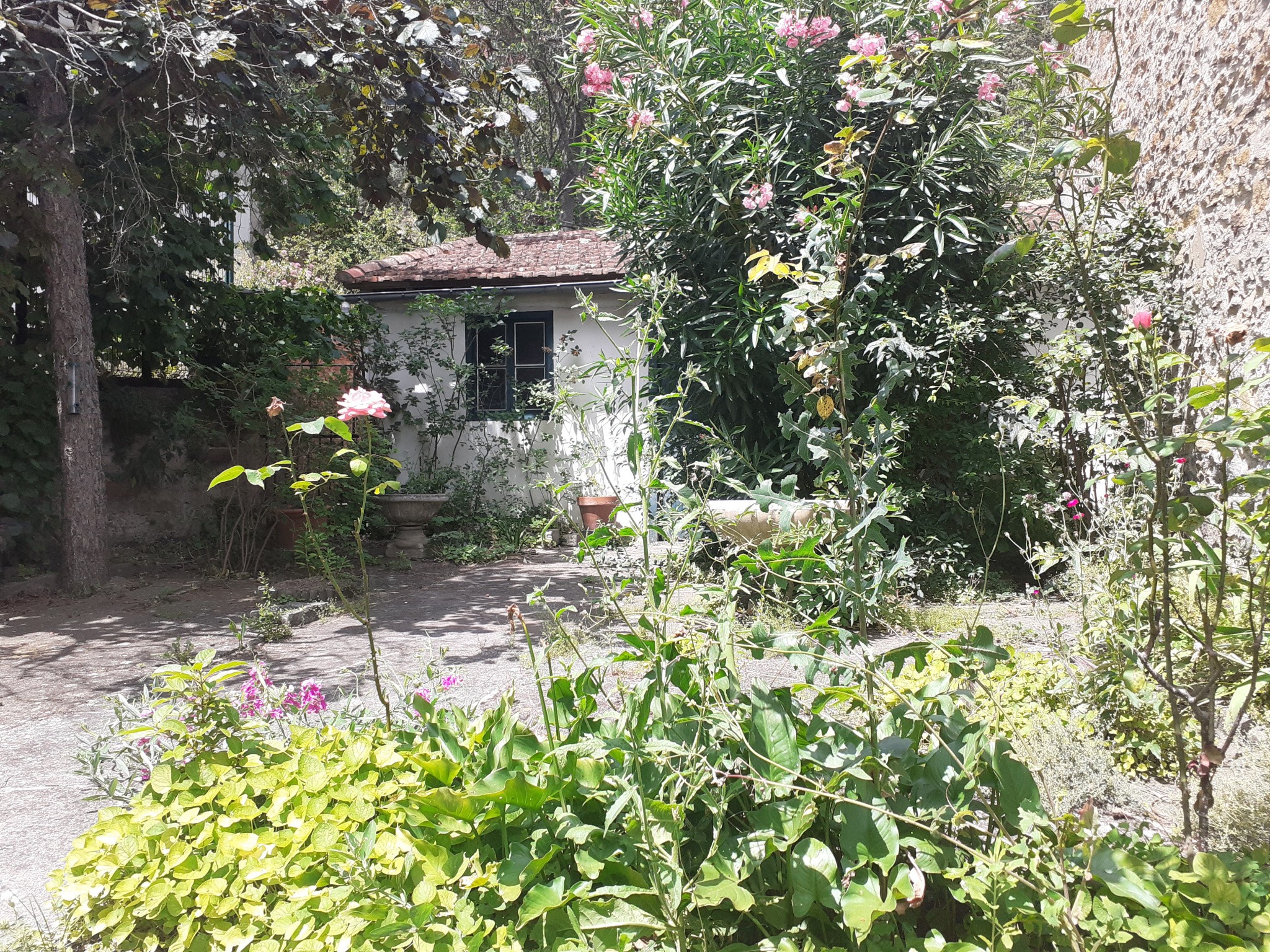 Superbe maison de ville   secteur très recherché — photo 2